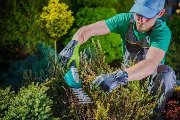 landscaping services Ballwin